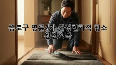 종로구 명륜2가, 환경친화적 청소 완전정복! 🌿✨