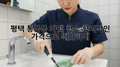 평택 통복동 카펫 청소, 합리적인 가격으로 깨끗하게!