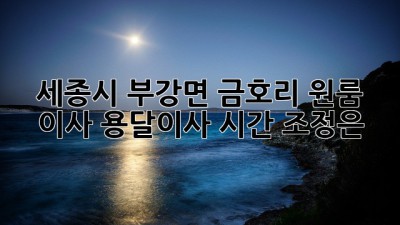 세종시 부강면 금호리 원룸 이사, 용달이사 시간 조정은?