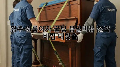 경주 원룸이사 꿀팁🍯 용달비용 절약 비법 대방출!