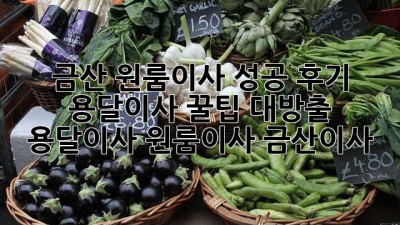 금산 원룸이사 성공 후기🚚 용달이사 꿀팁 대방출! #용달이사 #원룸이사 #금산이사